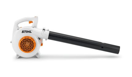 Soplador Stihl BG50 Venta Online Tres Arroyos Annechini