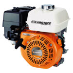 Motor estacionario Lüsqtoff LM160